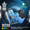Buy Bang King 30000 Vape | 30K Puffs | Pre-filled 36mL Tank | 0%-5% Nicotine Options | 550mAh Battery | Disposable Vape Pen | 12 Dual Flavor Blends | Type-C Fast Charging | Mesh Coil Technology
