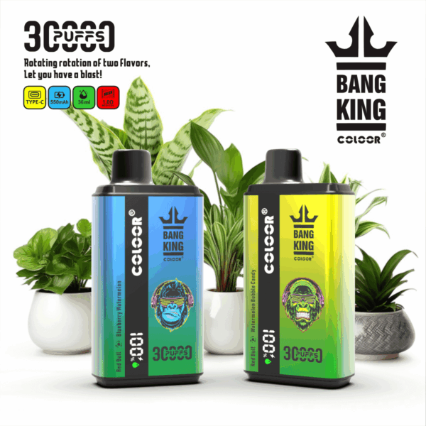 Buy Bang King 30000 Vape | 30K Puffs | Pre-filled 36mL Tank | 0%-5% Nicotine Options | 550mAh Battery | Disposable Vape Pen | 12 Dual Flavor Blends | Type-C Fast Charging | Mesh Coil Technology