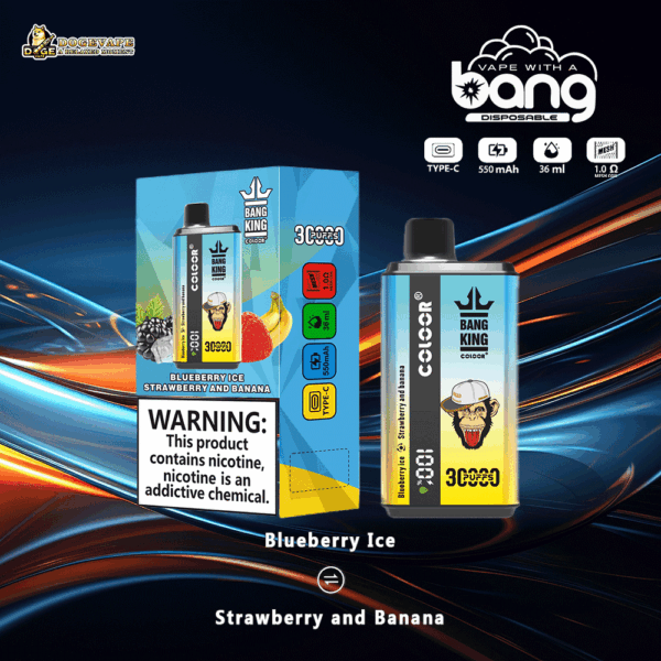 Buy Bang King 30000 Vape | 30K Puffs | Pre-filled 36mL Tank | 0%-5% Nicotine Options | 550mAh Battery | Disposable Vape Pen | 12 Dual Flavor Blends | Type-C Fast Charging | Mesh Coil Technology