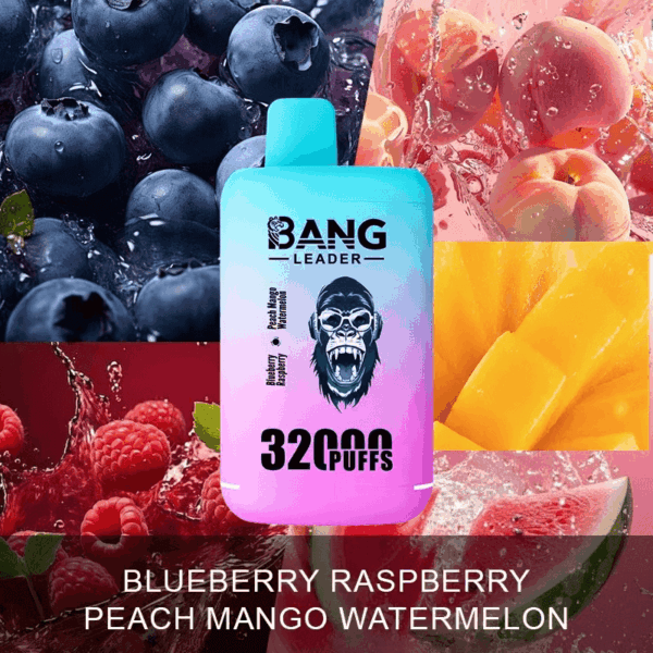 Buy Bang Leader 32000 Vape | 32K Puffs | Pre-filled 56mL Dual Tanks | 0%-5% Nicotine Options | 650mAh Battery | Disposable Vape Pen | 18 Flavor Selections | Type-C Fast Charging | Smooth Mesh Coil Technology