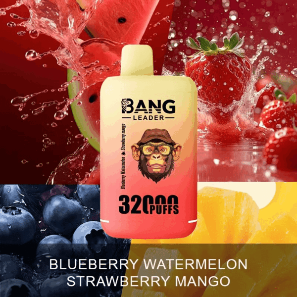 Buy Bang Leader 32000 Vape | 32K Puffs | Pre-filled 56mL Dual Tanks | 0%-5% Nicotine Options | 650mAh Battery | Disposable Vape Pen | 18 Flavor Selections | Type-C Fast Charging | Smooth Mesh Coil Technology