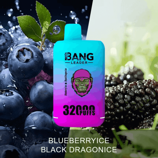 Buy Bang Leader 32000 Vape | 32K Puffs | Pre-filled 56mL Dual Tanks | 0%-5% Nicotine Options | 650mAh Battery | Disposable Vape Pen | 18 Flavor Selections | Type-C Fast Charging | Smooth Mesh Coil Technology