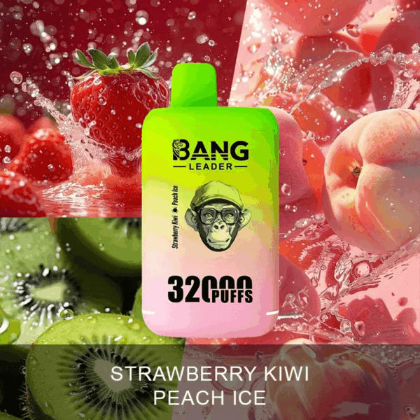 Buy Bang Leader 32000 Vape | 32K Puffs | Pre-filled 56mL Dual Tanks | 0%-5% Nicotine Options | 650mAh Battery | Disposable Vape Pen | 18 Flavor Selections | Type-C Fast Charging | Smooth Mesh Coil Technology
