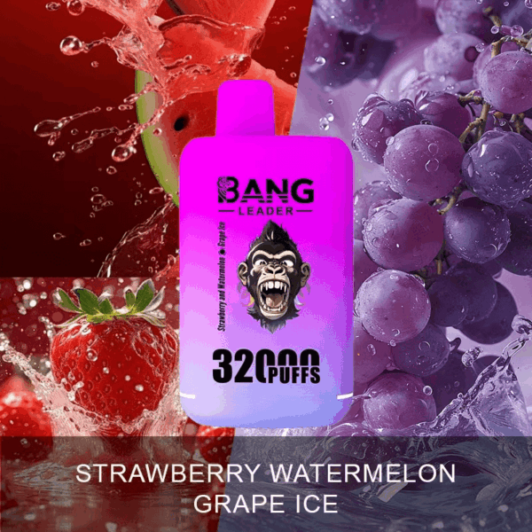 Buy Bang Leader 32000 Vape | 32K Puffs | Pre-filled 56mL Dual Tanks | 0%-5% Nicotine Options | 650mAh Battery | Disposable Vape Pen | 18 Flavor Selections | Type-C Fast Charging | Smooth Mesh Coil Technology