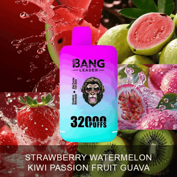 Buy Bang Leader 32000 Vape | 32K Puffs | Pre-filled 56mL Dual Tanks | 0%-5% Nicotine Options | 650mAh Battery | Disposable Vape Pen | 18 Flavor Selections | Type-C Fast Charging | Smooth Mesh Coil Technology