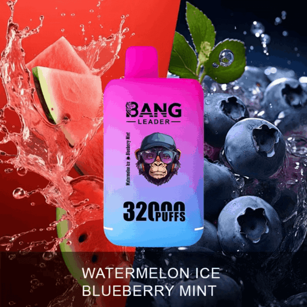 Buy Bang Leader 32000 Vape | 32K Puffs | Pre-filled 56mL Dual Tanks | 0%-5% Nicotine Options | 650mAh Battery | Disposable Vape Pen | 18 Flavor Selections | Type-C Fast Charging | Smooth Mesh Coil Technology