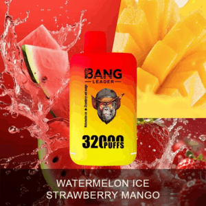 Bang Leader 32000 Disposable Vape | 32,000 Puffs | 56mL Dual Tanks | 0%-5% Nicotine | 650mAh Battery | Mesh Coil 1.0Ω | Type-C Rechargeable | 18 Flavor Combinations | Dual Flavor Switching | High-Capacity Vape Device