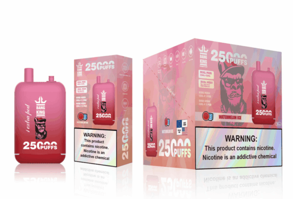 Buy Bang King 25000 Vape | 25K Puffs | Pre-filled 46mL Dual POD | 0%-5% Nicotine Options | 650mAh Battery | Disposable Vape Pen | 12 Flavor Selections | Type-C Fast Charging | Adjustable Airflow