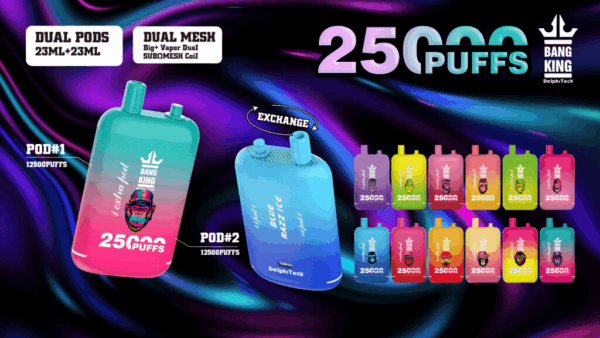 Buy Bang King 25000 Vape | 25K Puffs | Pre-filled 46mL Dual POD | 0%-5% Nicotine Options | 650mAh Battery | Disposable Vape Pen | 12 Flavor Selections | Type-C Fast Charging | Adjustable Airflow