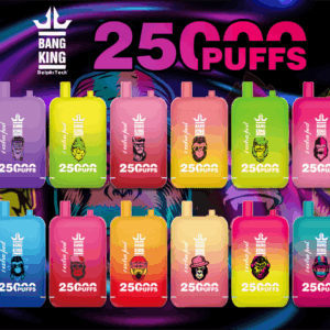 Buy Bang King 25000 Vape | 25K Puffs | Pre-filled 46mL Dual POD | 0%-5% Nicotine Options | 650mAh Battery | Disposable Vape Pen | 12 Flavor Selections | Type-C Fast Charging | Adjustable Airflow