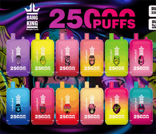 Buy Bang King 25000 Vape | 25K Puffs | Pre-filled 46mL Dual POD | 0%-5% Nicotine Options | 650mAh Battery | Disposable Vape Pen | 12 Flavor Selections | Type-C Fast Charging | Adjustable Airflow