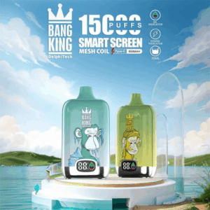 Bang King Smartscreen 15000 Disposable Vape | 15,000 Puffs | 25mL E-liquid | 0%-5% Nicotine | 650mAh Battery | 1.0Ω Mesh Coil | Smart Screen Display | Type-C Rechargeable | 10 Flavors Available