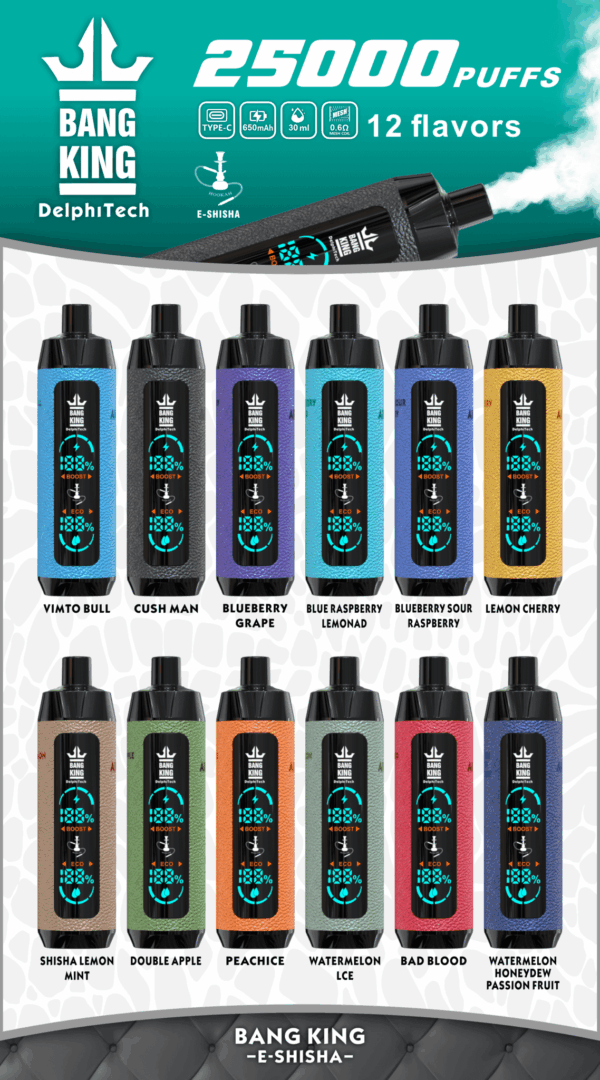 Buy Bang King Shisha 25000 Vape | 25K Puffs | Pre-filled 30mL Tank | 0%-5% Nicotine Options | 650mAh Battery | Disposable Vape Pen | 12 Shisha Flavors | Type-C Fast Charging | OEM Available