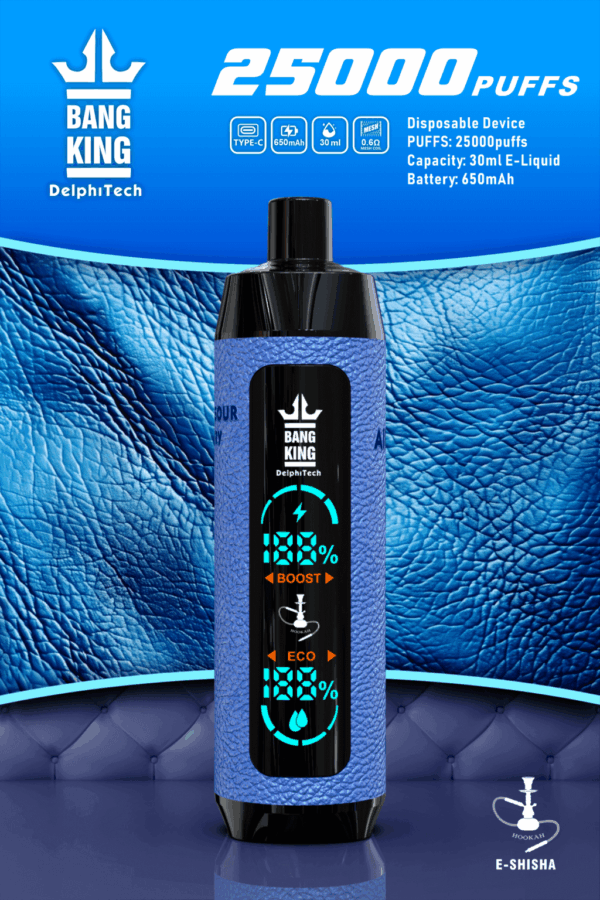Buy Bang King Shisha 25000 Vape | 25K Puffs | Pre-filled 30mL Tank | 0%-5% Nicotine Options | 650mAh Battery | Disposable Vape Pen | 12 Shisha Flavors | Type-C Fast Charging | OEM Available
