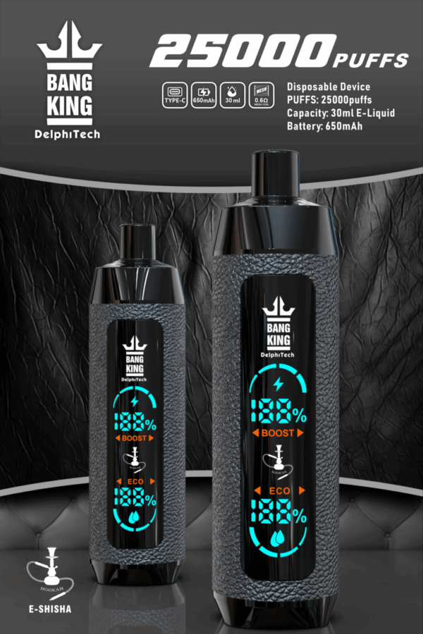 Buy Bang King Shisha 25000 Vape | 25K Puffs | Pre-filled 30mL Tank | 0%-5% Nicotine Options | 650mAh Battery | Disposable Vape Pen | 12 Shisha Flavors | Type-C Fast Charging | OEM Available