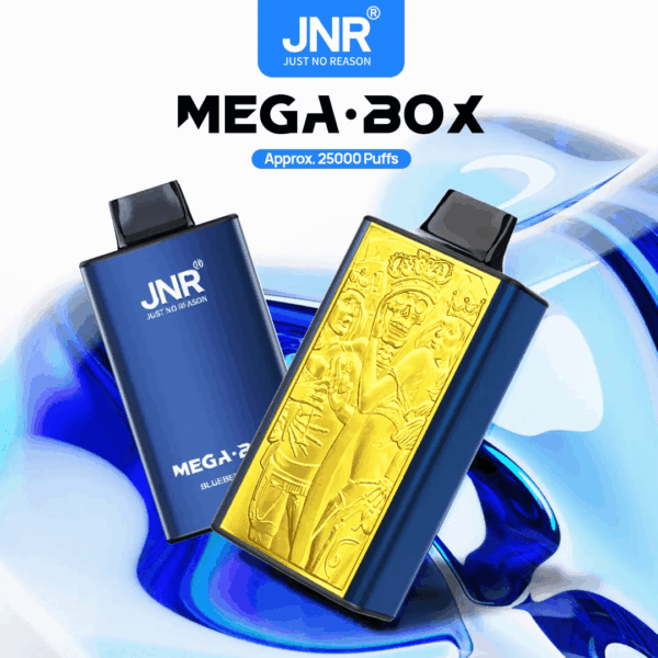 Shop JNR Mega Box 25000 – 25,000 Puff Disposable Vape | 2% Nicotine | 850mAh Battery | 30ml E-Liquid | Dual Mesh Coil | Type-C Rechargeable | Smooth Flavor
