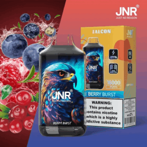 Shop JNR FALCON 16000 – 16,000 Puff Disposable Vape | 2% Nicotine | 850mAh Battery | Dual Mesh Coil | Adjustable Airflow | Crystal Craft Design | 22ml E-Liquid