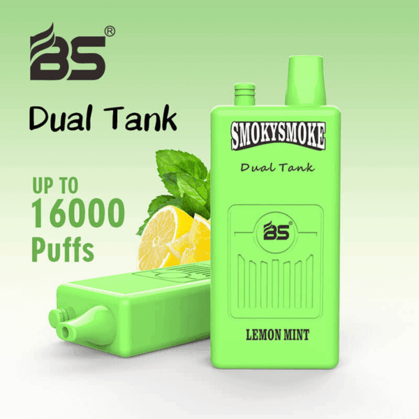 Buy BS SMOKYSMOKE 16000 Disposable Vape – 36mL | 16000 Puffs | Dual Tank | Mesh Coil | 2% 5% Nicotine | Type-C Charging | 22 Flavors