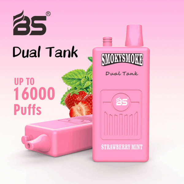 Buy BS SMOKYSMOKE 16000 Disposable Vape – 36mL | 16000 Puffs | Dual Tank | Mesh Coil | 2% 5% Nicotine | Type-C Charging | 22 Flavors