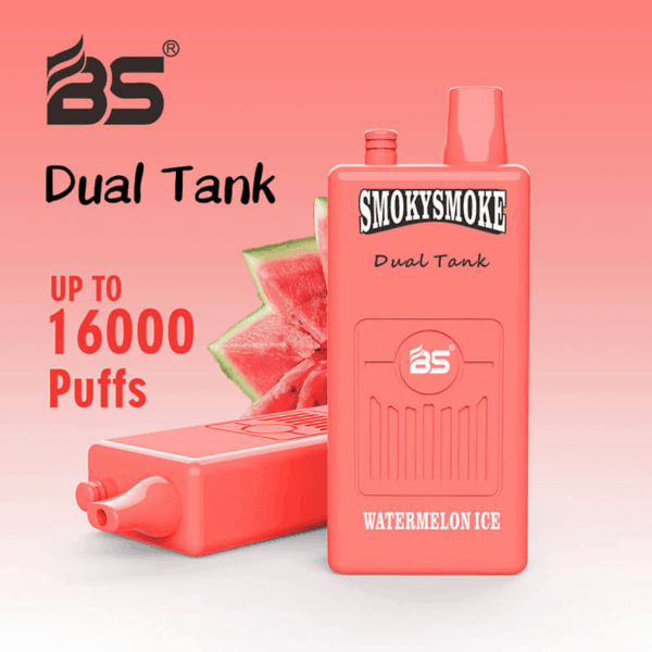 Buy BS SMOKYSMOKE 16000 Disposable Vape – 36mL | 16000 Puffs | Dual Tank | Mesh Coil | 2% 5% Nicotine | Type-C Charging | 22 Flavors