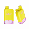 Buy VapSolo Twins 20000 Vape | 20K Puffs | Pre-filled 25mL Tank | 2%-5% Nicotine Options | 650mAh Battery | Dual Flavor Pods | LED Screen | Type-C Fast Charging | Disposable Vape Pen