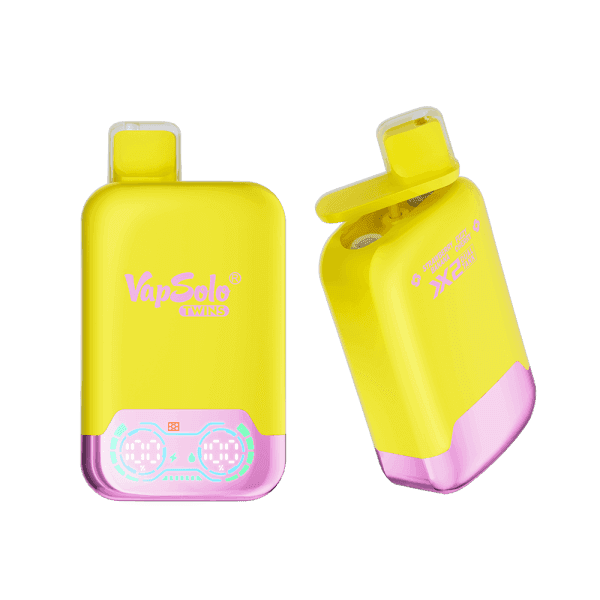 Buy VapSolo Twins 20000 Vape | 20K Puffs | Pre-filled 25mL Tank | 2%-5% Nicotine Options | 650mAh Battery | Dual Flavor Pods | LED Screen | Type-C Fast Charging | Disposable Vape Pen