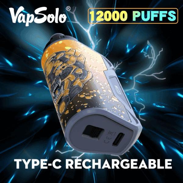 Buy VapSolo Viking 12000 Vape | 12K Puffs | Pre-filled 22mL Tank | 2%-5% Nicotine Options | 650mAh Battery | Adjustable Airflow | Mesh Coil | Type-C Fast Charging | Disposable Vape Pen