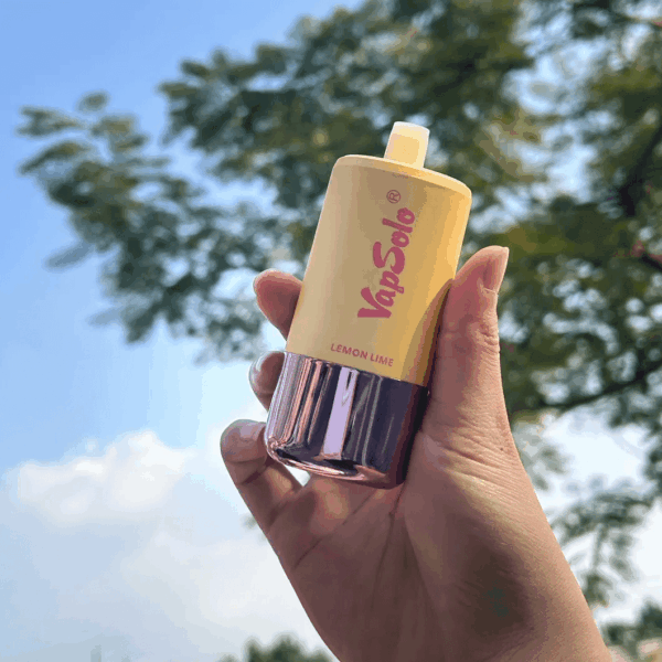 VapSolo Triple 30000 Disposable Vape | 30,000 Puffs | 45mL E-liquid | 2%-5% Nicotine | 650mAh Battery | Triple Flavor System | Mesh Coil 1.0Ω | LCD Display | Type-C Rechargeable