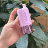 VapSolo Triple 30000 Disposable Vape | 30,000 Puffs | 45mL E-liquid | 2%-5% Nicotine | 650mAh Battery | Triple Flavor System | Mesh Coil 1.0Ω | LCD Display | Type-C Rechargeable