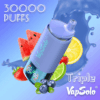 VapSolo Triple 30000 Disposable Vape | 30,000 Puffs | 45mL E-liquid | 2%-5% Nicotine | 650mAh Battery | Triple Flavor System | Mesh Coil 1.0Ω | LCD Display | Type-C Rechargeable