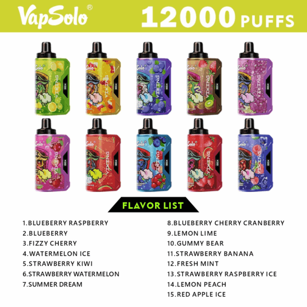 Buy VapSolo Viking 12000 Vape | 12K Puffs | Pre-filled 22mL Tank | 2%-5% Nicotine Options | 650mAh Battery | Adjustable Airflow | Mesh Coil | Type-C Fast Charging | Disposable Vape Pen