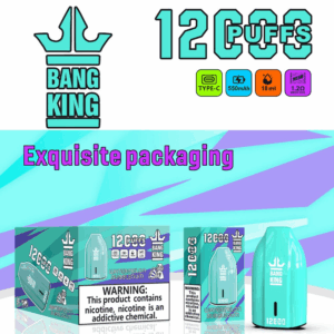 Bang King 12000 Porsche Disposable Vape | 12,000 Puffs | 18mL E-liquid | 0%-5% Nicotine | 550mAh Battery | 1.2Ω Mesh Coil | Type-C Rechargeable | Bullet-Shaped Design | 12 Flavors Available | Long-lasting Vape Device