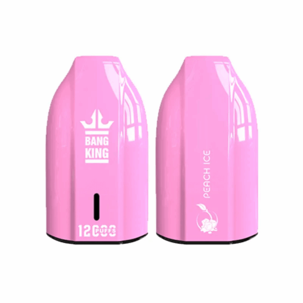 Bang King 12000 Porsche Disposable Vape | 12,000 Puffs | 18mL E-liquid | 0%-5% Nicotine | 550mAh Battery | 1.2Ω Mesh Coil | Type-C Rechargeable | Bullet-Shaped Design | 12 Flavors Available | Long-lasting Vape Device