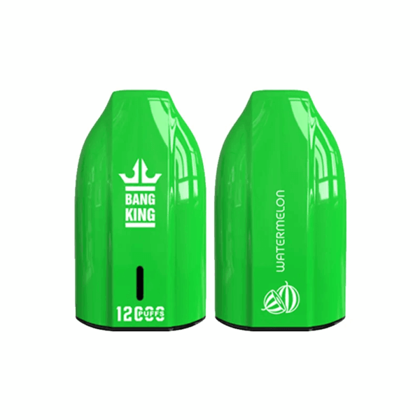 Bang King 12000 Porsche Disposable Vape | 12,000 Puffs | 18mL E-liquid | 0%-5% Nicotine | 550mAh Battery | 1.2Ω Mesh Coil | Type-C Rechargeable | Bullet-Shaped Design | 12 Flavors Available | Long-lasting Vape Device