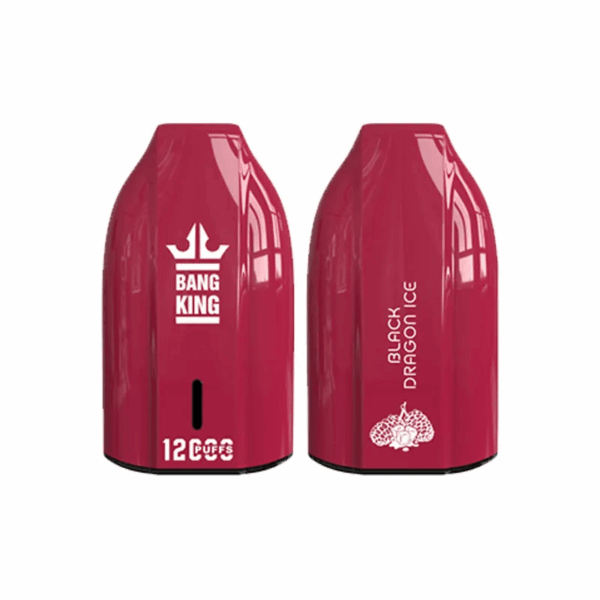 Bang King 12000 Porsche Disposable Vape | 12,000 Puffs | 18mL E-liquid | 0%-5% Nicotine | 550mAh Battery | 1.2Ω Mesh Coil | Type-C Rechargeable | Bullet-Shaped Design | 12 Flavors Available | Long-lasting Vape Device