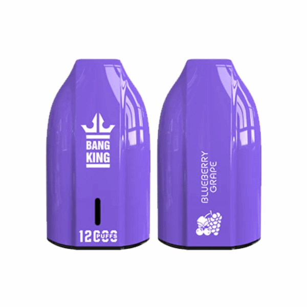 Bang King 12000 Porsche Disposable Vape | 12,000 Puffs | 18mL E-liquid | 0%-5% Nicotine | 550mAh Battery | 1.2Ω Mesh Coil | Type-C Rechargeable | Bullet-Shaped Design | 12 Flavors Available | Long-lasting Vape Device