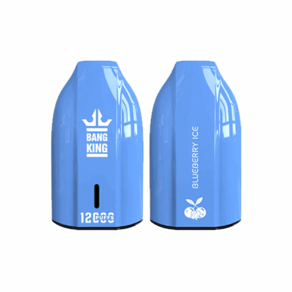 Bang King 12000 Porsche Disposable Vape | 12,000 Puffs | 18mL E-liquid | 0%-5% Nicotine | 550mAh Battery | 1.2Ω Mesh Coil | Type-C Rechargeable | Bullet-Shaped Design | 12 Flavors Available | Long-lasting Vape Device