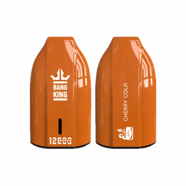 Bang King 12000 Porsche Disposable Vape | 12,000 Puffs | 18mL E-liquid | 0%-5% Nicotine | 550mAh Battery | 1.2Ω Mesh Coil | Type-C Rechargeable | Bullet-Shaped Design | 12 Flavors Available | Long-lasting Vape Device