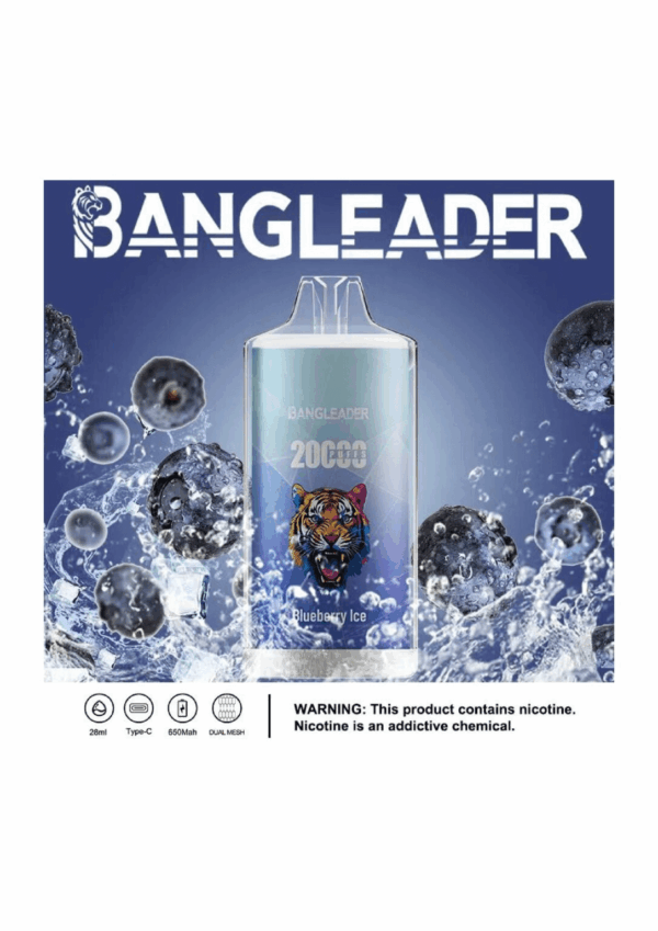Buy Bang Leader 20000 Vape | 20K Puffs | Pre-filled 28mL Tank | 0%-5% Nicotine Options | 650mAh Battery | Disposable Vape Pen | 13 Flavor Selections | Smooth Mesh Coil | Rechargeable Design