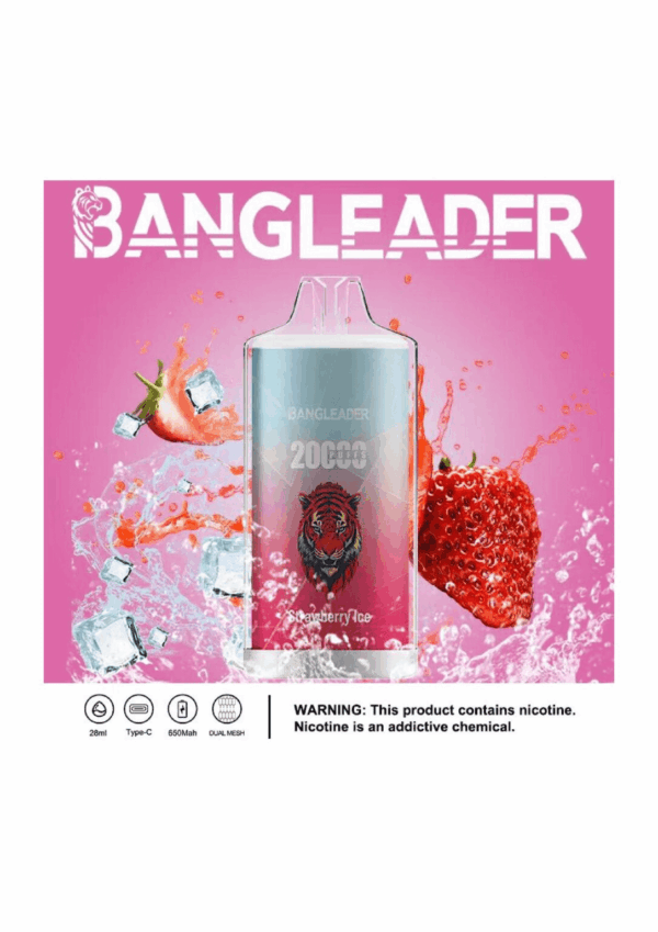 Buy Bang Leader 20000 Vape | 20K Puffs | Pre-filled 28mL Tank | 0%-5% Nicotine Options | 650mAh Battery | Disposable Vape Pen | 13 Flavor Selections | Smooth Mesh Coil | Rechargeable Design