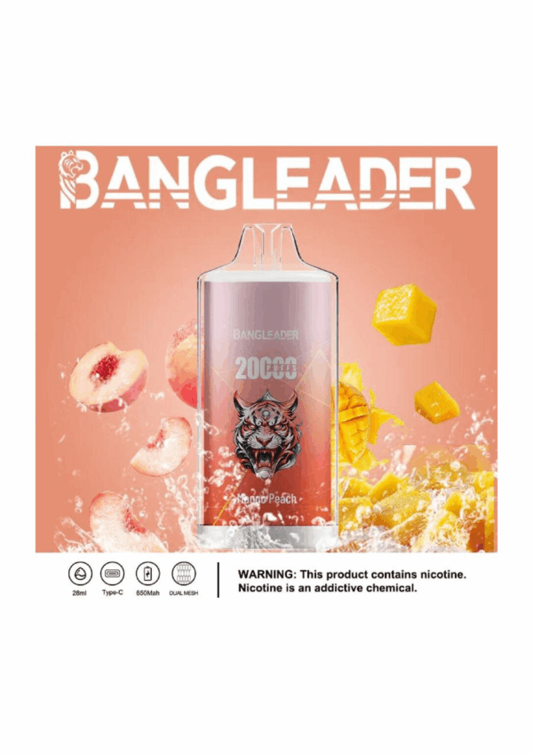 Buy Bang Leader 20000 Vape | 20K Puffs | Pre-filled 28mL Tank | 0%-5% Nicotine Options | 650mAh Battery | Disposable Vape Pen | 13 Flavor Selections | Smooth Mesh Coil | Rechargeable Design