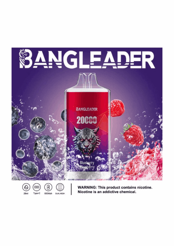Buy Bang Leader 20000 Vape | 20K Puffs | Pre-filled 28mL Tank | 0%-5% Nicotine Options | 650mAh Battery | Disposable Vape Pen | 13 Flavor Selections | Smooth Mesh Coil | Rechargeable Design