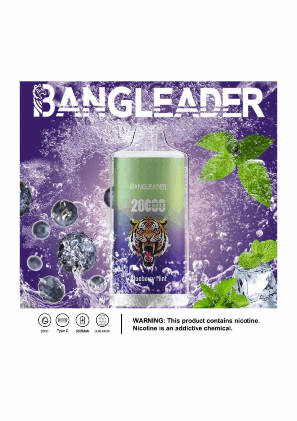 Buy Bang Leader 20000 Vape | 20K Puffs | Pre-filled 28mL Tank | 0%-5% Nicotine Options | 650mAh Battery | Disposable Vape Pen | 13 Flavor Selections | Smooth Mesh Coil | Rechargeable Design