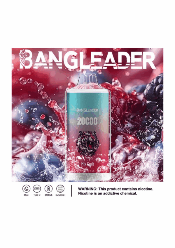 Buy Bang Leader 20000 Vape | 20K Puffs | Pre-filled 28mL Tank | 0%-5% Nicotine Options | 650mAh Battery | Disposable Vape Pen | 13 Flavor Selections | Smooth Mesh Coil | Rechargeable Design