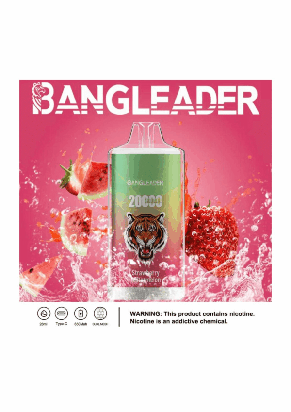 Buy Bang Leader 20000 Vape | 20K Puffs | Pre-filled 28mL Tank | 0%-5% Nicotine Options | 650mAh Battery | Disposable Vape Pen | 13 Flavor Selections | Smooth Mesh Coil | Rechargeable Design