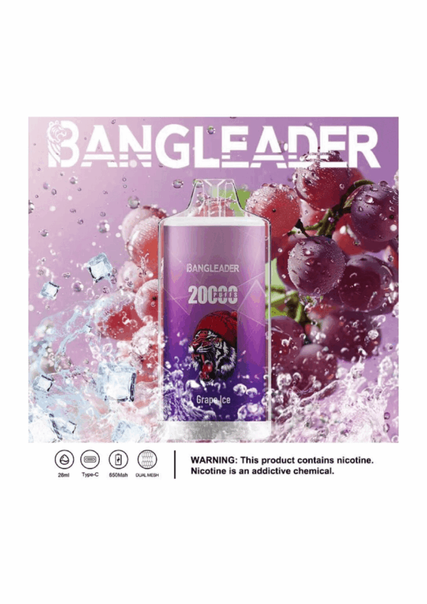 Buy Bang Leader 20000 Vape | 20K Puffs | Pre-filled 28mL Tank | 0%-5% Nicotine Options | 650mAh Battery | Disposable Vape Pen | 13 Flavor Selections | Smooth Mesh Coil | Rechargeable Design