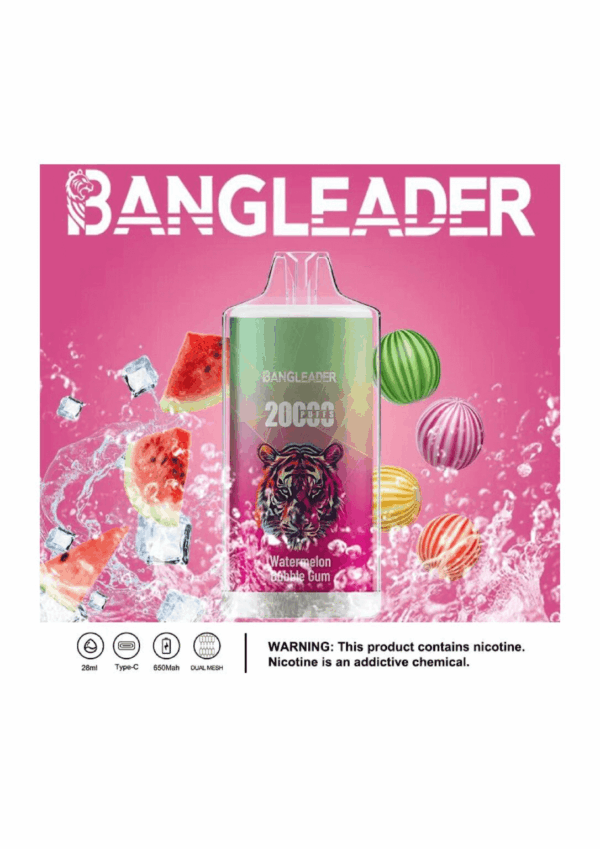 Buy Bang Leader 20000 Vape | 20K Puffs | Pre-filled 28mL Tank | 0%-5% Nicotine Options | 650mAh Battery | Disposable Vape Pen | 13 Flavor Selections | Smooth Mesh Coil | Rechargeable Design