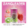 Buy Bang Leader 20000 Vape | 20K Puffs | Pre-filled 28mL Tank | 0%-5% Nicotine Options | 650mAh Battery | Disposable Vape Pen | 13 Flavor Selections | Smooth Mesh Coil | Rechargeable Design