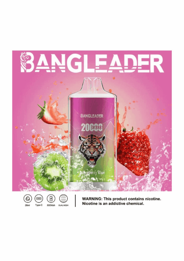 Buy Bang Leader 20000 Vape | 20K Puffs | Pre-filled 28mL Tank | 0%-5% Nicotine Options | 650mAh Battery | Disposable Vape Pen | 13 Flavor Selections | Smooth Mesh Coil | Rechargeable Design