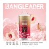 Buy Bang Leader 20000 Vape | 20K Puffs | Pre-filled 28mL Tank | 0%-5% Nicotine Options | 650mAh Battery | Disposable Vape Pen | 13 Flavor Selections | Smooth Mesh Coil | Rechargeable Design
